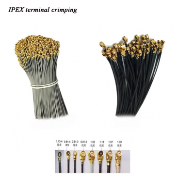 SR-IPEX