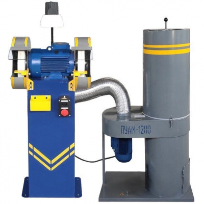 Станок точильно-шлифовальный ТШ-2Д-П с пылесосом ПУАМ-1200